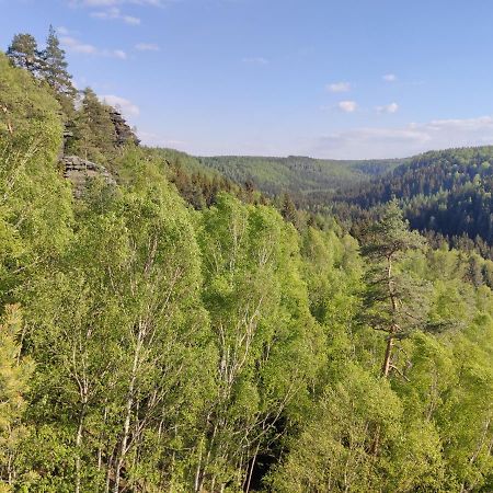 Ferienwohnung Saechsische Schweiz Rosenthal-Bielatal Esterno foto
