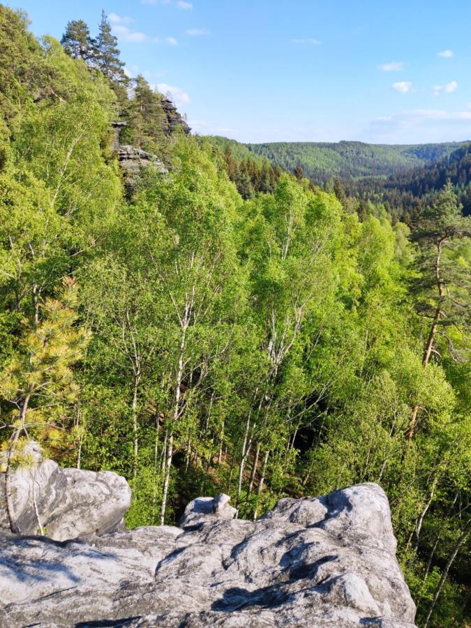 Ferienwohnung Saechsische Schweiz Rosenthal-Bielatal Esterno foto